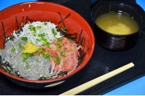 【岡崎発】*日帰り昼食付*『駿河湾名物!!しらすと生桜えびの3色丼と世界遺産めぐり』1